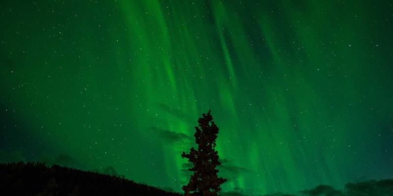 从客户视角深度解析：深圳中金德贵金属投资服务的全流程体验与价值