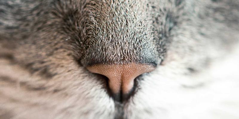 深圳中金德49：专业金融服务赋能黄金交易与贵金属投资新格局