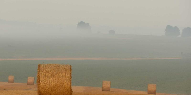 深圳中金德62:专业解读贵金属投资与白银交易的高效金融服务平台