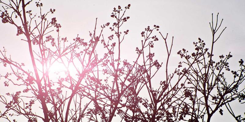 深圳中金德88:专业金融咨询如何赋能您的白银交易决策?