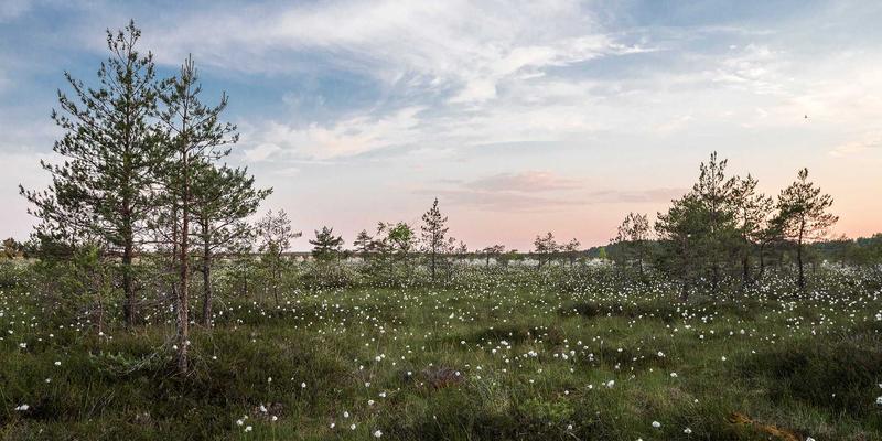 深圳中金德专业解读：如何运用对冲策略守护您的贵金属资产