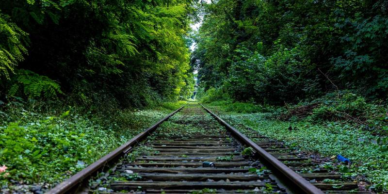 深圳中金德：以ESG投资理念重塑黄金开采与供应链金融新范式