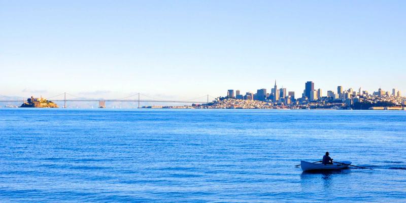 深圳中金德入门：专业金融服务与贵金属投资咨询全解析