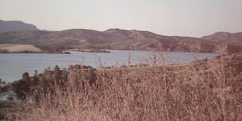 深圳中金德实物黄金与纸黄金投资对比分析：资产管理视角下的黄金交易策略