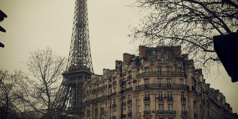 深圳中金德客户服务体系深度解析：从开户到交易的全流程专业支持，开启黄金投资新篇章