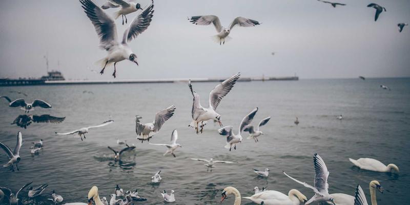 深圳中金德视角：全球贵金属市场联动与价格影响因素深度解析——聚焦资产管理与白银交易策略