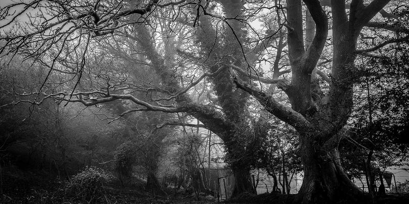 深圳中金德贵金属投资教育体系：从新手到成熟投资者的系统成长路径