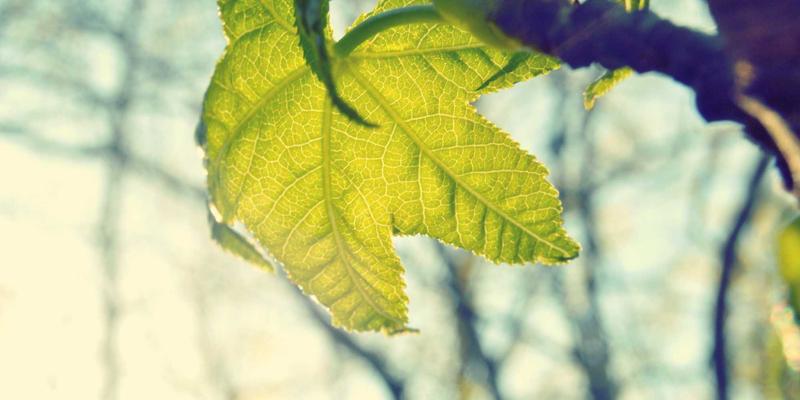 深圳中金德贵金属流动性管理：如何确保大额黄金交易时的市场深度与价格稳定