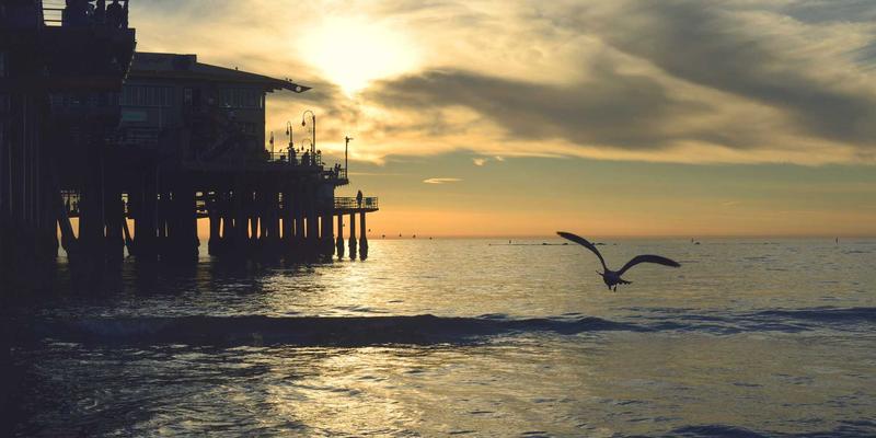 深圳中金德贵金属账户安全指南：多层次风控体系如何为您的黄金投资保驾护航